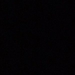 Meet your Posher, Daniella